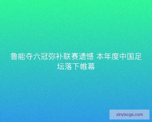 鲁能夺六冠弥补联赛遗憾 本年度中国足坛落下帷幕